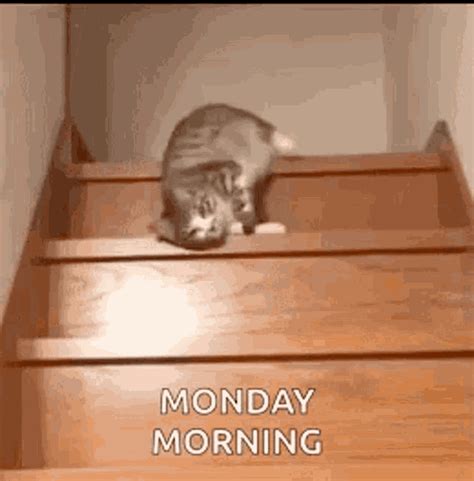 monday gif